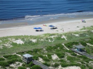 View Beach Visitors s